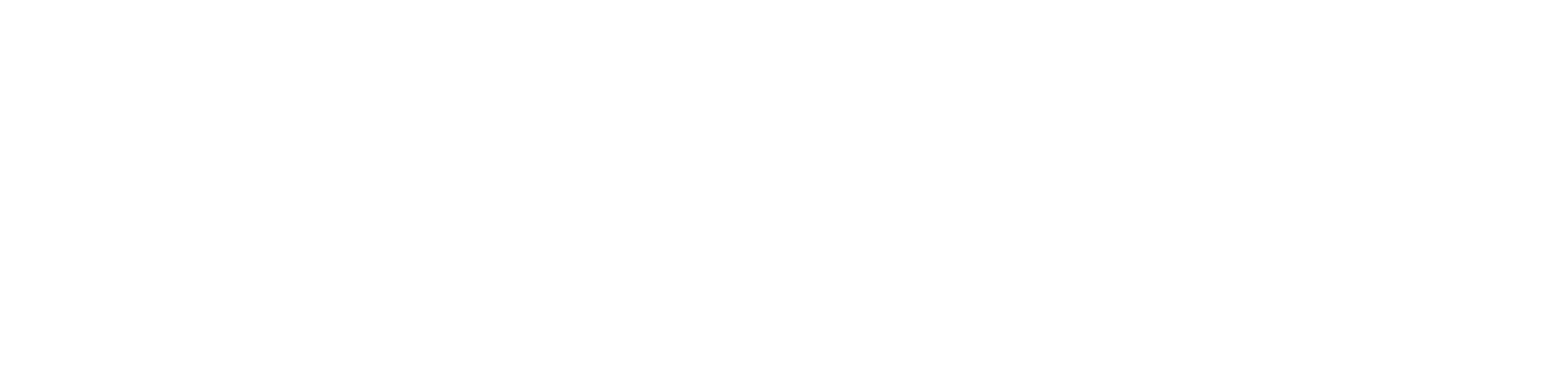 Armenian Airlines